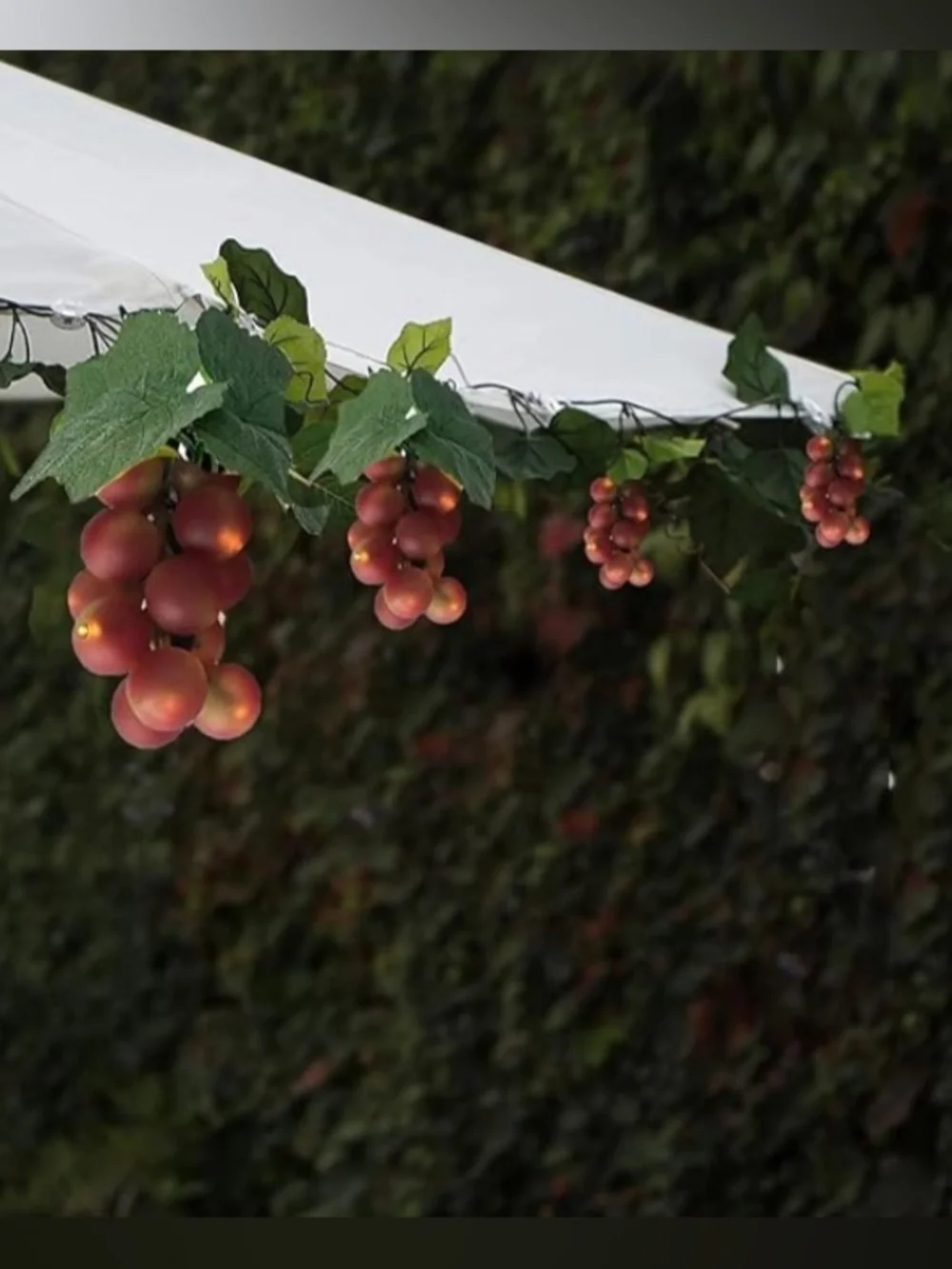 Outdoor Clustered Grape String Lights - Green and Purple LED Decor
